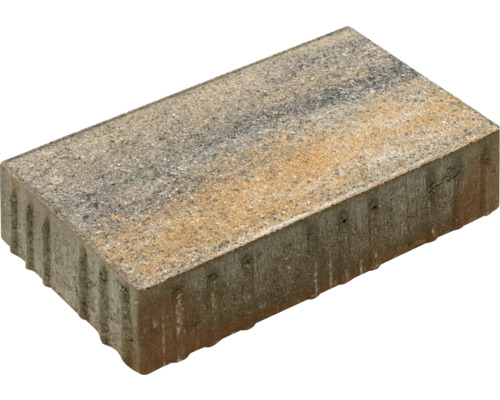 Pavé rectangulaire FLAIRSTONE luna coquille calcaire 30 x 20 x 6 cm