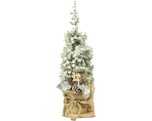 Scheinzypresse FloraSelf Top Point Schnee H 35-40 cm T 13 cm Scheinzypresse FloraSelf Top Point Schnee H 35-40 cm T 13 cm