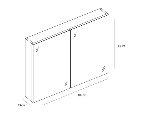 Croquis d''une armoire de toilette avec des dimensions de 100 x 66 x 13 centimètres.