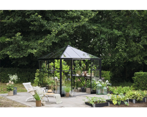 Gewächshaus im Garten mit Pflanzen, Stuhl und Dekoration