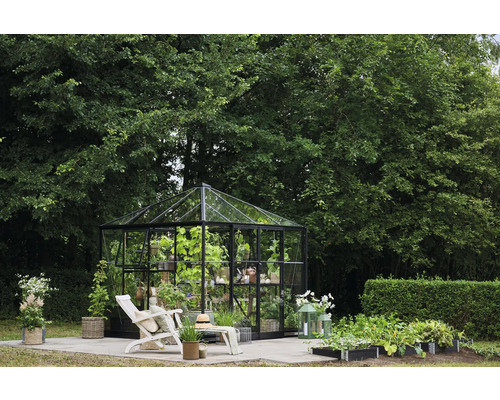 Halls Gewächshaus Qube Square 6.3 m² Sicherheitsglas 3 mm 251x251 cm schwarz Gewächshaus mit Pflanzen und Gartenmöbeln im Garten