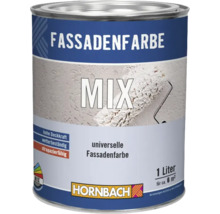 Farbeimer mit Fassadenfarbe, 1 Liter