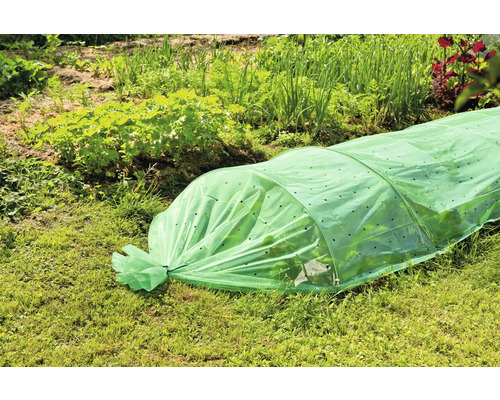 Scène de jardin avec une mini-serre pour protéger les plantes