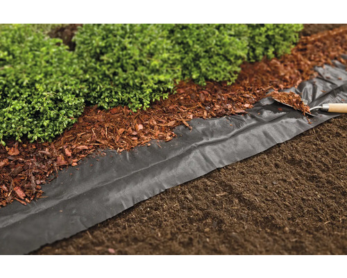 Gartenszene mit Bodengewebe, Rindenmulch und Pflanzen