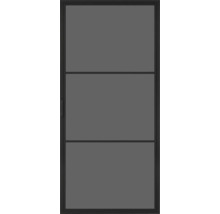 Porte intérieure avec trois panneaux de verre rectangulaires