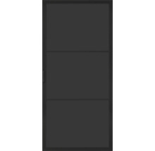 Porte intérieure noire avec trois panneaux de verre