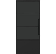 Porte intérieure noire avec vitrages et poignée