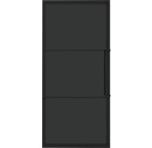 Porte en verre noire avec cadre en métal