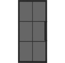 Porte intérieure avec insert en verre et cadre