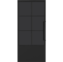 Porte intérieure noire avec inserts en verre et poignée