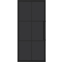 Porte intérieure noire avec panneaux de verre et poignée