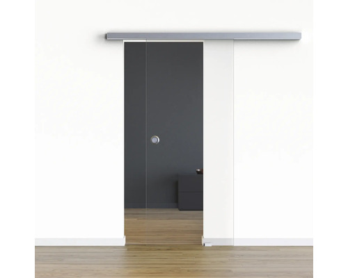 Porte vitrée coulissante Pertura set complet Freia Clear 1025x2050 mm y compris ferrure Selir aluminium aspect inox, poignée encastrée