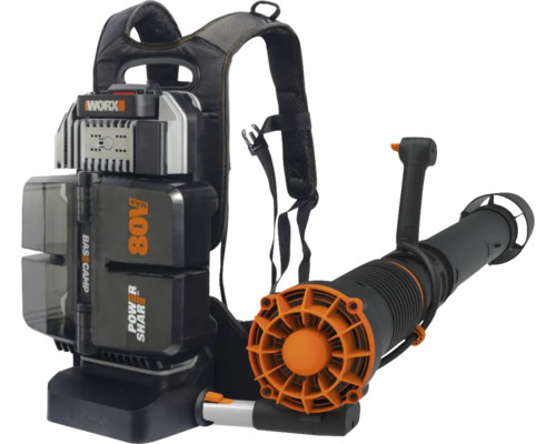 Souffleur de feuilles à batterie à porter avec 108 volts