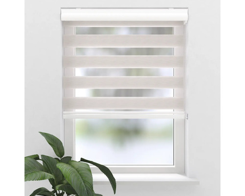 Fenster mit Doppelrollo für Sichtschutz und Verdunkelung