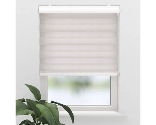 Fenster mit Dualrollo zur Lichtregulierung