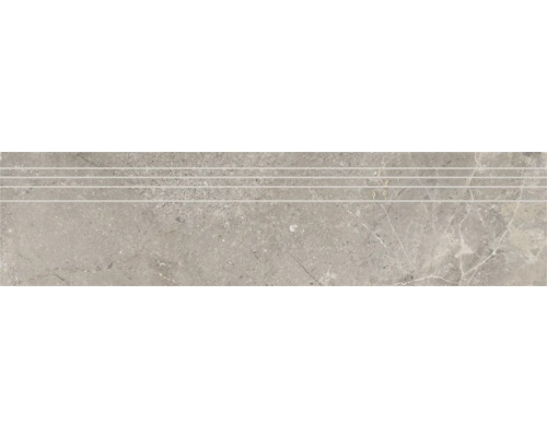 Feinsteinzeug Treppenstufe Anden Natural matt grau 29.5x120 cm