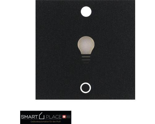 smart PLACE Tasteneinsatz Licht 1-fach schwarz