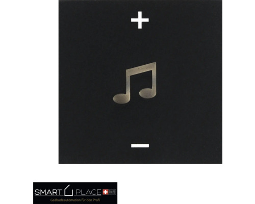 smart PLACE Tasteneinsatz Multimedia 1-fach schwarz