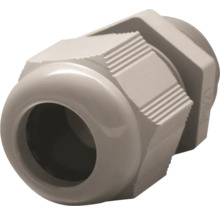 Presse-étoupe PA6 M32 gris clair 1 paquet = 20 pces