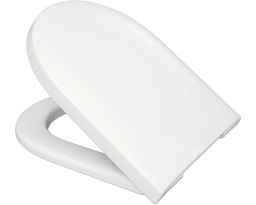 Toilettendeckel aus Kunststoff