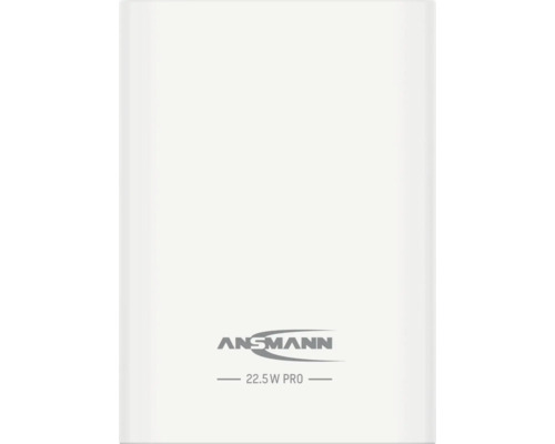 Ansmann Logo 22.5 W Pro