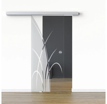 Porte en verre avec système de porte coulissante et motif végétal
