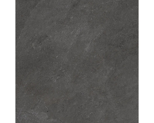 Carrelage de sol foncé avec surface mate