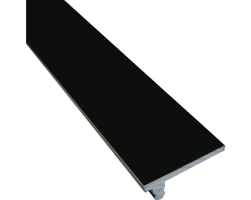Profilé d'extrémité 2x22x2500 mm noir mat