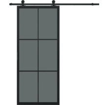 Porte coulissante avec cadre en métal et panneaux de verre