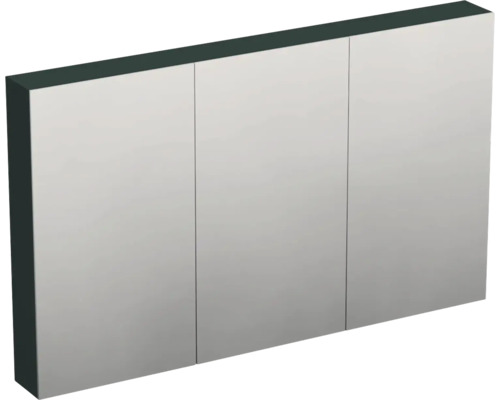 Spiegelschrank Jungborn TRENTA BxHxT 120x72x14.4 cm grün salvia matt
