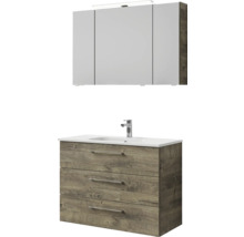 Ensemble de meubles de salle de bains avec meuble sous-lavabo, lavabo et armoire de toilette