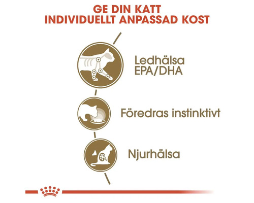 Avantages de la nourriture pour chats : santé articulaire, préférence instinctive, santé rénale