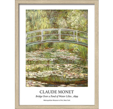 Impression encadrée du Pont sur un bassin de nénuphars de Claude Monet, 1899