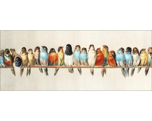 Glasbild Birds III 125x50 cm