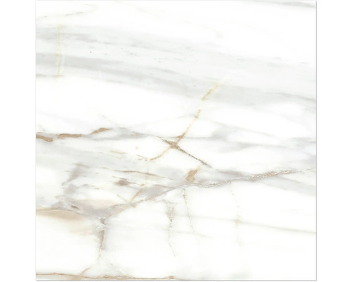 MIRAVA LUCCA Feinsteinzeug Wand- und Bodenfliese Bianco gold poliert BxLxS 60x60x0.9 cm MIRAVA LUCCA Feinsteinzeug Wand- und Bodenfliese Bianco gold poliert BxLxS 60x60x0.9 cm