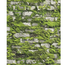 Papier peint motif mur de pierre et mousse