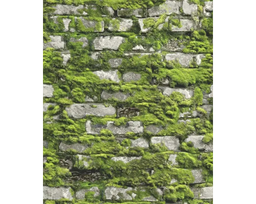 Papier peint motif mur de pierre et mousse