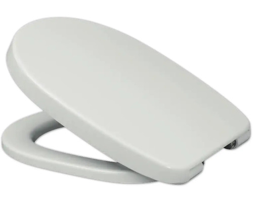 Toilettendeckel aus Kunststoff