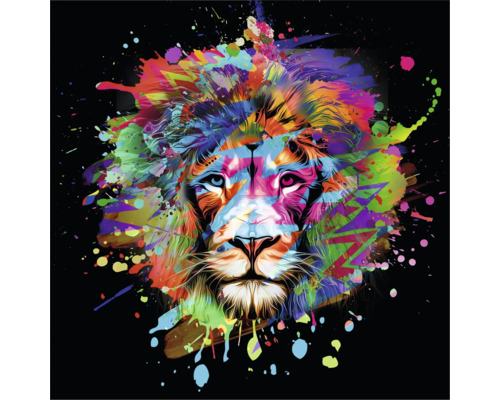 Metallbild Alu Colorful Lion Head III 50x50 cm