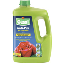 Gesal Anti-Pilz Forte gebrauchsfertige Spritzbrühe zum Schutz von Zierpflanzen vor Pilzkrankheiten