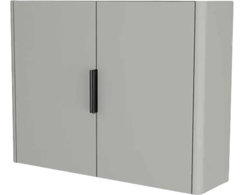 Armoire suspendue avec 2 portes Devo Lotos lxhxp 65x50x19 cm perfect touch gris acier