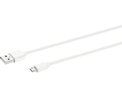 Câble C USB Bleil blanc 1 m