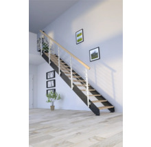 Escalier avec rampe en métal et marches en bois dans une pièce lumineuse