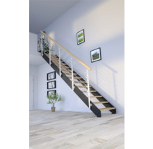 Escalier avec garde-corps en métal et marches en bois dans une pièce lumineuse