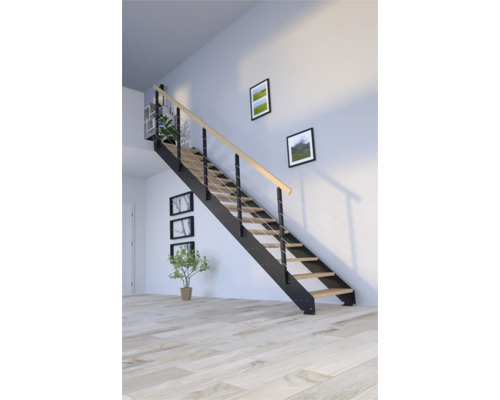 Escalier à limons Pertura Libra chêne sans contremarches peint par poudrage droit 13 Pièce(s) marches/14 pas de marche garde-corps à barres verticales Escalier à limons Pertura Libra chêne sans contremarches peint par poudrage droit 13 Pièce(s) marches/14 pas de marche garde-corps à barres verticales