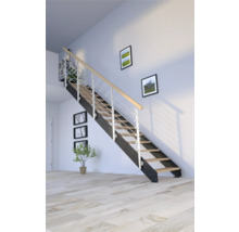 Escalier avec rampe métallique et marches en bois dans une pièce lumineuse