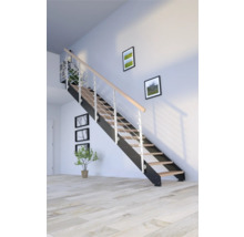 Escalier avec balustrade en métal et marches en bois dans une pièce lumineuse