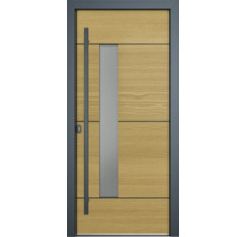 Moderne Haustür mit Glaseinsatz und Türgriff