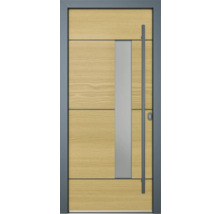 Haustür mit Glaselement und Griff