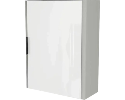 Armoire de toilette Devo Lotos droite lxhxp 48x62x20 cm perfect touch gris acier Armoire suspendue avec une porte